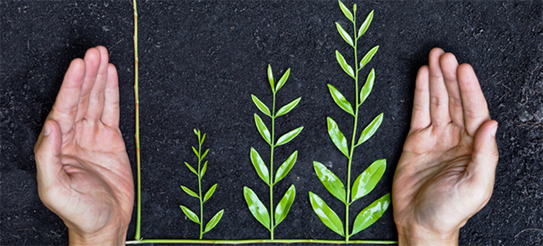 A graph made of leaves to show growth with hands around it and soil in the background.