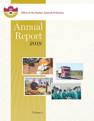 Auditor's General 2019 Annual Report