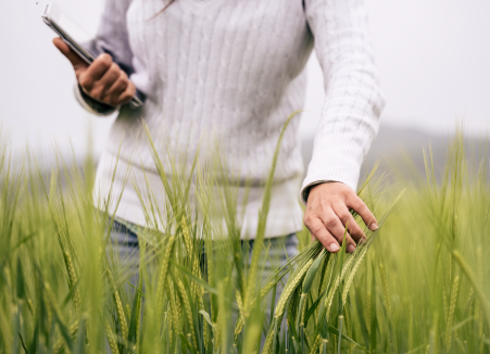 person in grassy field holding a tablet