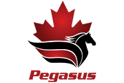 Supplier partner Pegasus School Images logo