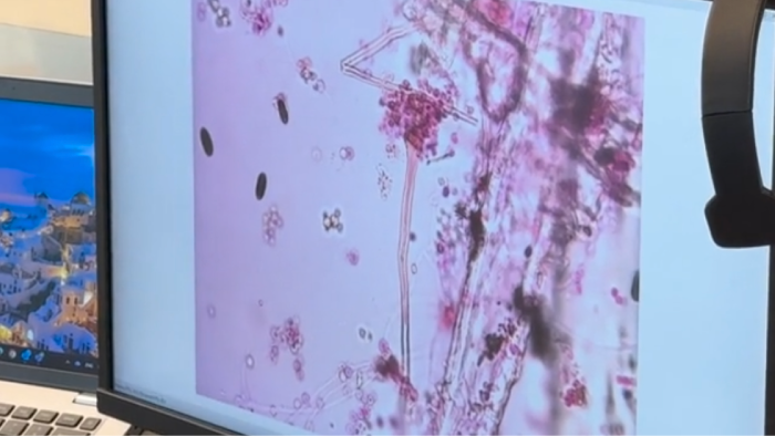 Pinchin - Meet the Supplier Day (2025)