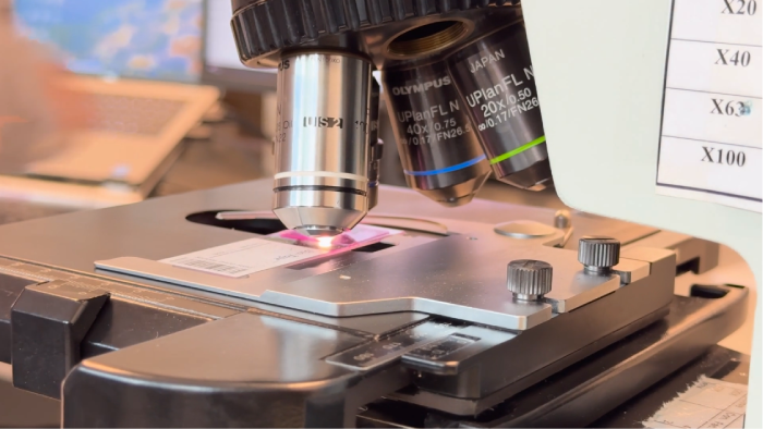 Pinchin - Meet the Supplier Day (2025)