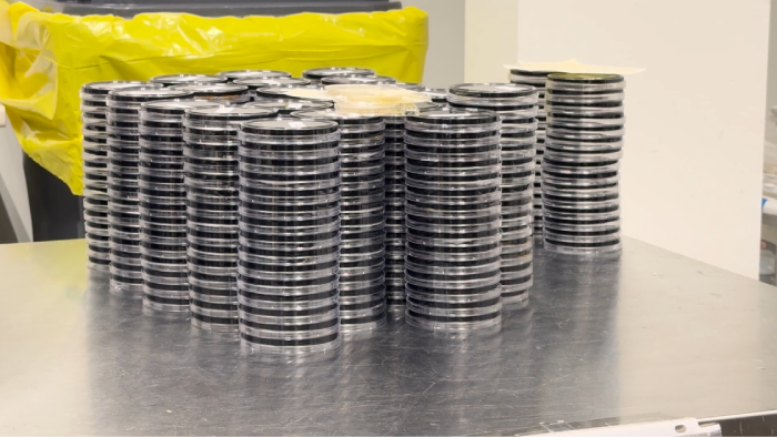 Pinchin - Meet the Supplier Day (2025)