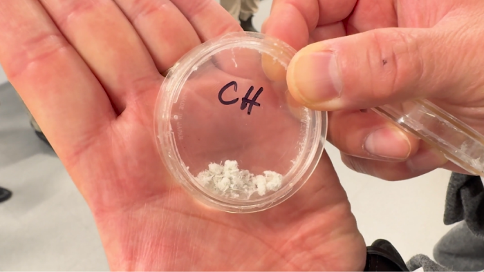 Pinchin - Meet the Supplier Day (2025)