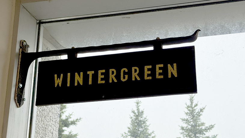 Wintergreen iron sign from hobby farm in Aurora, ON.