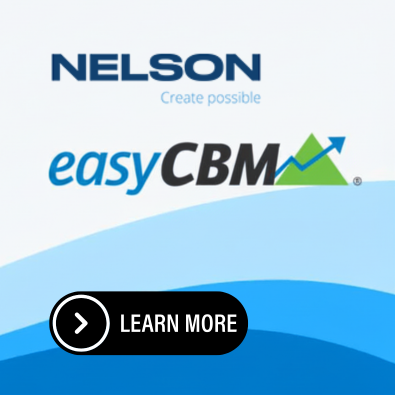 Nelson Education 'Create Possible' and easyCBM logos on a dark maroon and blue wave background with Learn More button.