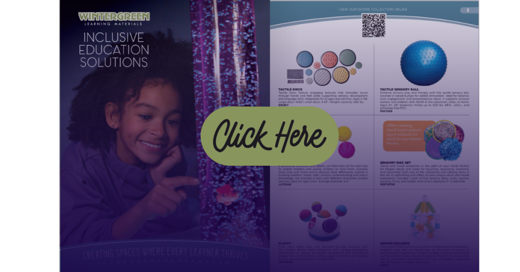 Wintergreen Inclusive Education Solutions